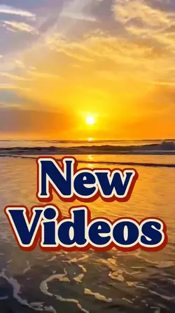 New videos 