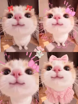 4pic