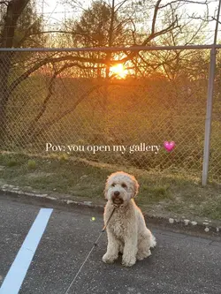 😍❤️