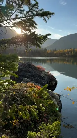 beautiful nature