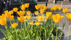 photo subtitles