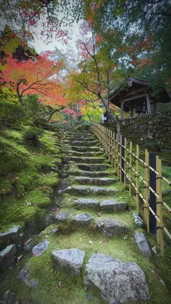 🍁感動するテンプレ🍁