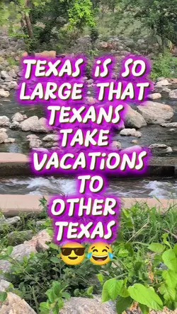 Texans to Texas
