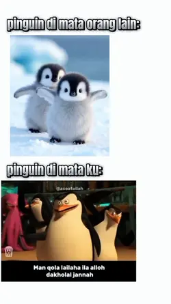 penguin dakwah