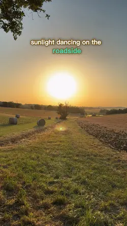 NATURE VIBES