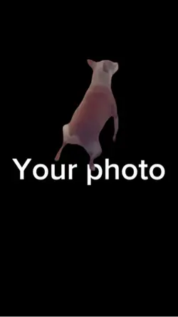Funny template 😂😂