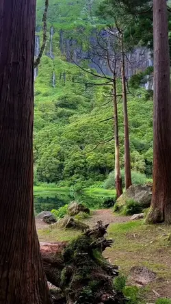Hiking Cinematic 