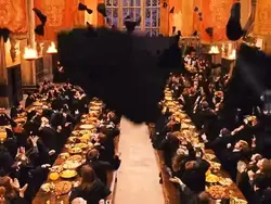 Harry Potter edit