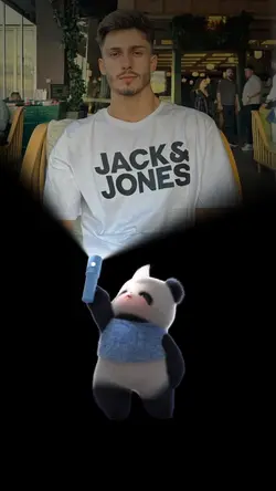 BearNotBearWallpaper