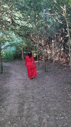 Lost in the wood 
