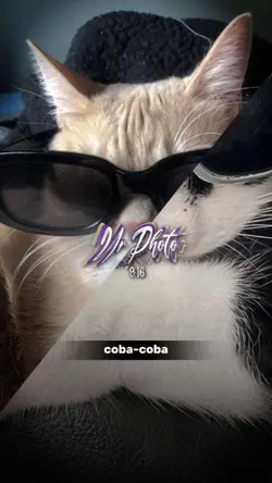 JJ coba jalanin dulu