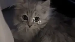 プロポーズ