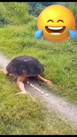 kura kura berevolusi