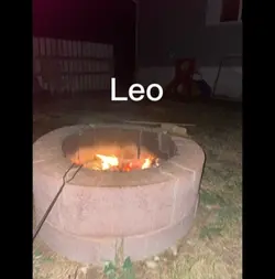 Zodiac sign