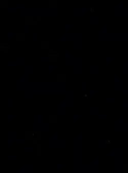 1 video 15 ảnh
