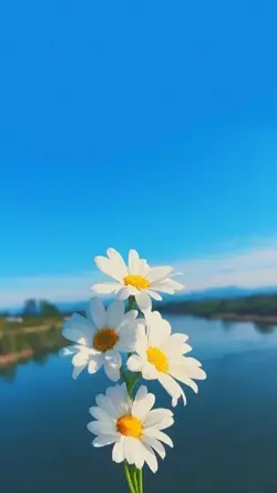aaja naaa