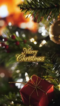 Merry Christmas
