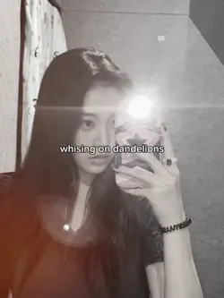 whising on dandelion