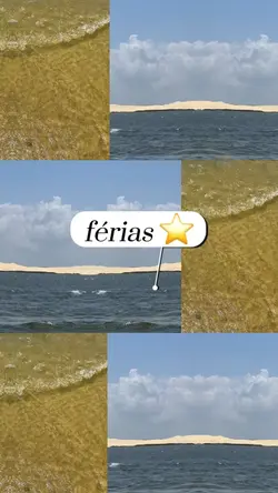 Férias 🐶