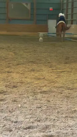 fake horse and body