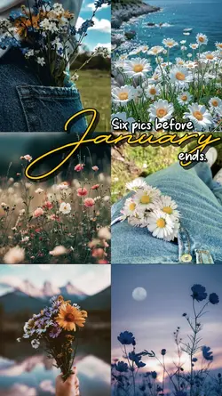 6picsb4Januaryends
