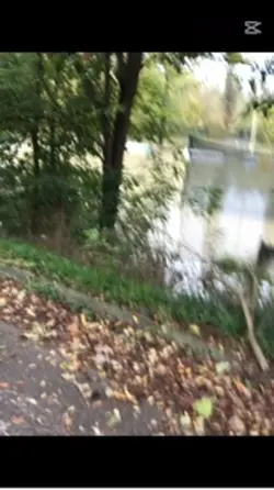 tsunami 
