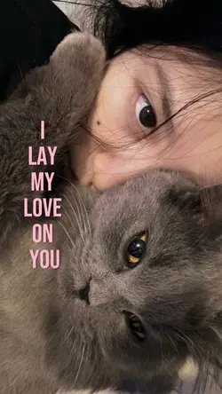 i lay my love on you