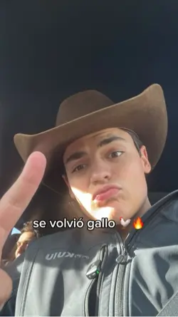 Se volvió gallo 🐔