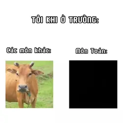 mẫu meme văn bản