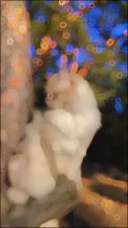 new trending slowmo