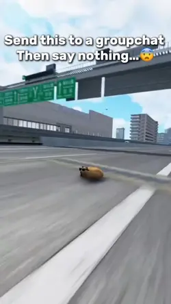 Cat Drive Meme