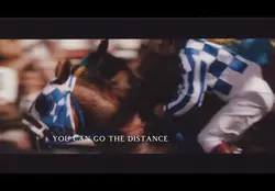 Secretariat 🕊️❤️‍🔥