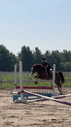 SCOPEY PONY 😻