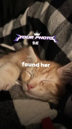 untill I found her