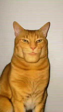 GIGA CAT
