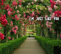 im just like you <3