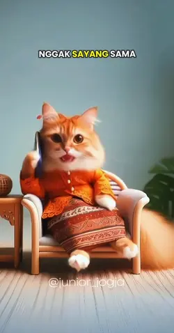 kucing lucu banget