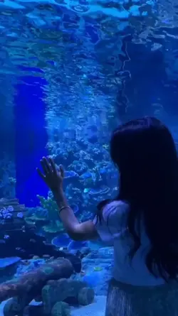 Hello Japan
