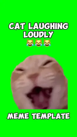 Cat Laughing Loudly