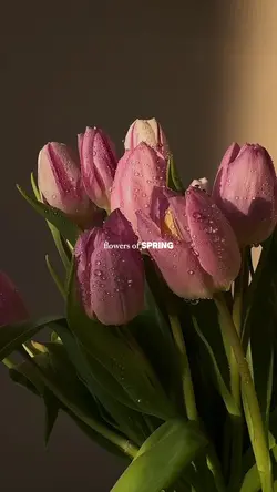 flowers of spring