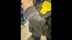 FANEXPO 2025