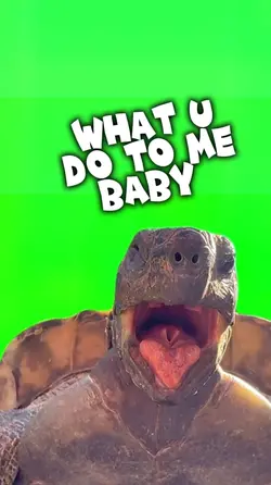 WhatUdo2meBaby