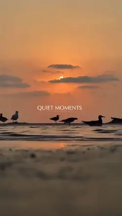 Romantic birds