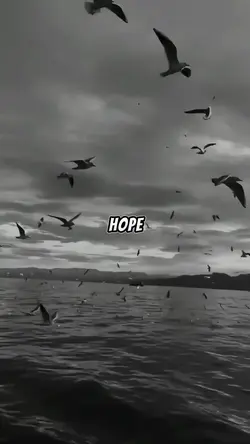 Never lose hope.. 