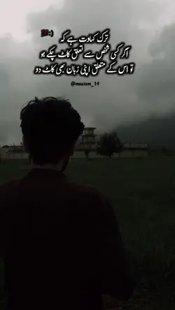 attitudeSlowMotion 