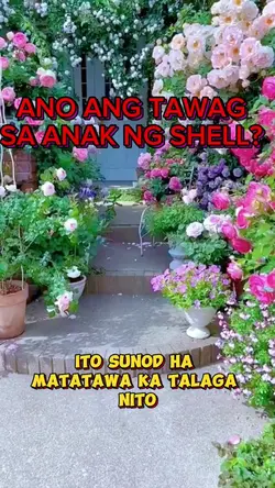 ANO ANG ANAK NG SHEL