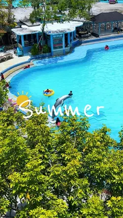 Summer Highlights