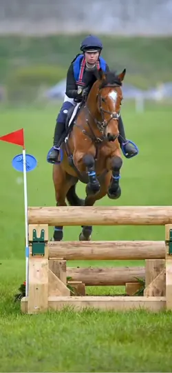 Horse edit ❤️‍🔥