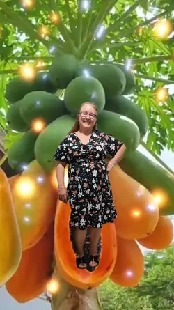 saindo da fruta