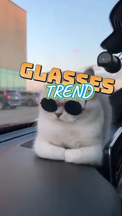 SUNGLASSES TREND